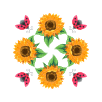 Brush Footed Butterflies Animals