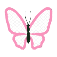 Brush Footed Butterflies Animals