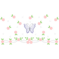 Brush Footed Butterflies Animals