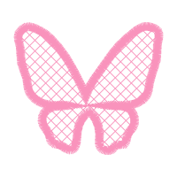 Brush Footed Butterflies Animals