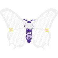 Brush Footed Butterflies Animals Brush Footed Butterflies Animals