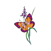 Brush Footed Butterflies Animals Brush Footed Butterflies Animals