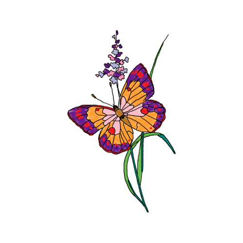 Brush Footed Butterflies Animals Brush Footed Butterflies Animals