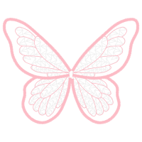 Brush Footed Butterflies Animals