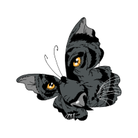 Brush Footed Butterflies Animals Brush Footed Butterflies Animals