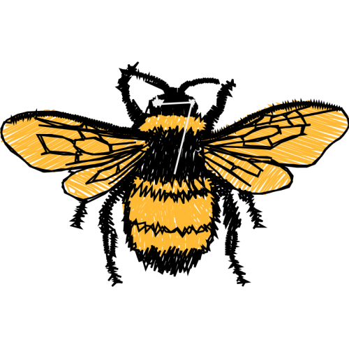 Bumblebee Animals Bumblebee Animals