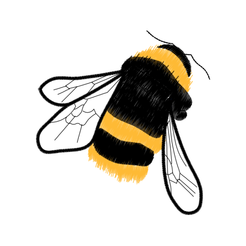 Bumblebee Animals Bumblebee Animals