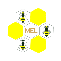 Bumblebee Animals