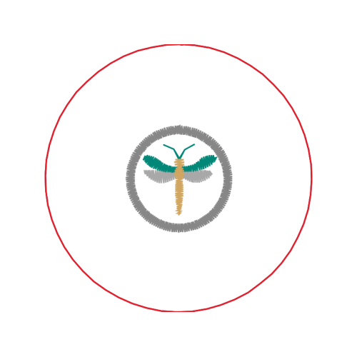 Car Animals Car Animals