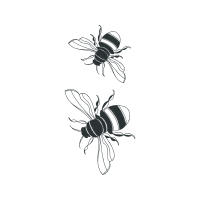 Carpenter Bee Animals