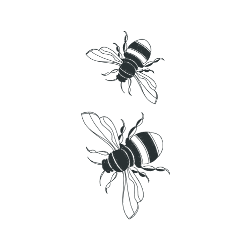 Carpenter Bee Animals Carpenter Bee Animals