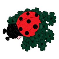 Cartoon Animals Cartoon Animals