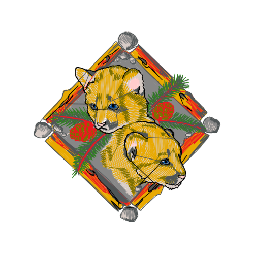 Cat Animals Cat Animals