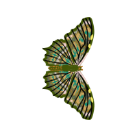 Caterpillar Inc Animals Caterpillar Inc Animals