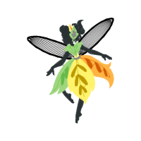 Cattleya Orchids Animals Cattleya Orchids Animals