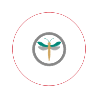 Circle Animals Circle Animals