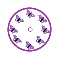 Circle Animals Circle Animals