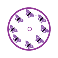 Circle Animals Circle Animals