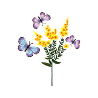 Common Blue Animals Common Blue Animals