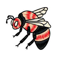 Common Fruit Fly Animals Common Fruit Fly Animals