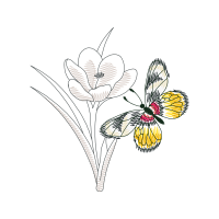 Crocus Vernus Animals