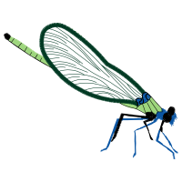 Damselflies Animals Damselflies Animals