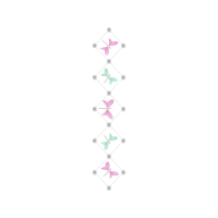 Diagram Animals Diagram Animals