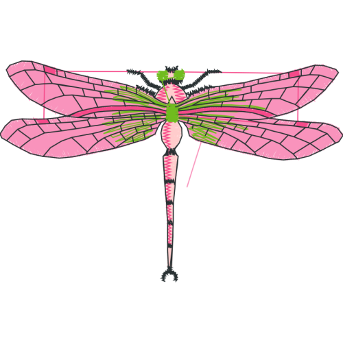 Dragonfly Animals Dragonfly Animals