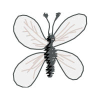 Dragonfly Animals Dragonfly Animals