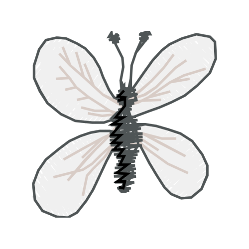 Dragonfly Animals Dragonfly Animals