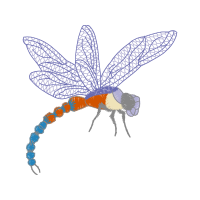Dragonfly Animals
