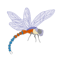 Dragonfly Animals