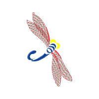 Dragonfly Animals Dragonfly Animals