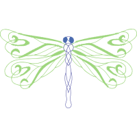 Dragonfly Animals Dragonfly Animals