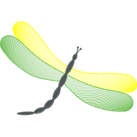 Dragonfly Animals Dragonfly Animals