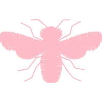 Dragonfly Animals Dragonfly Animals