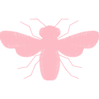 Dragonfly Animals Dragonfly Animals