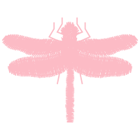 Dragonfly Animals Dragonfly Animals