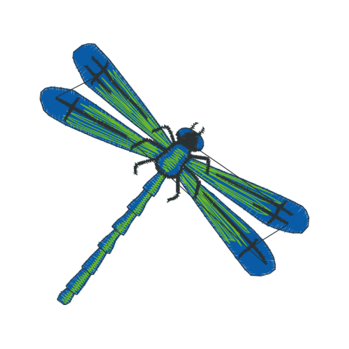 Dragonfly Animals Dragonfly Animals