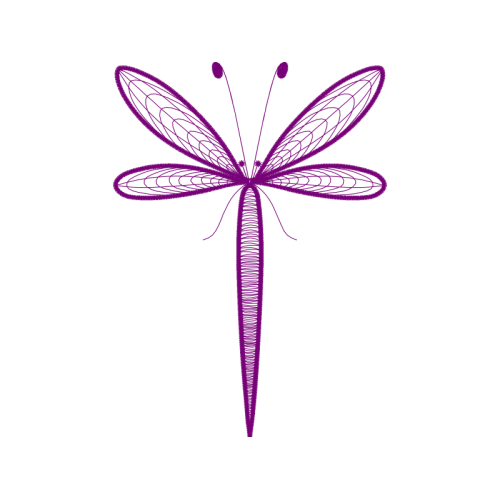 Dragonfly Animals Dragonfly Animals