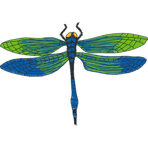 Dragonfly Animals Dragonfly Animals
