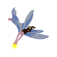 Dragonfly Animals Dragonfly Animals