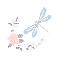 Dragonfly Animals Dragonfly Animals