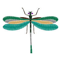 Dragonfly Animals