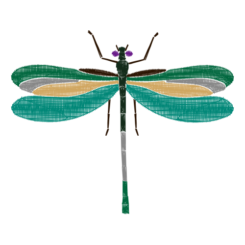 Dragonfly Animals Dragonfly Animals