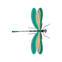 Dragonfly Animals
