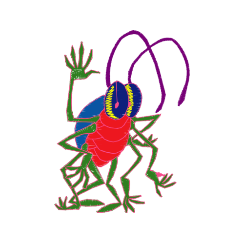 Drawing Animals Drawing Animals