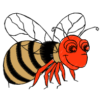 Drawing Animals