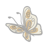 Drawing Animals Drawing Animals