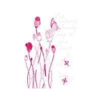 Drawing Animals Drawing Animals